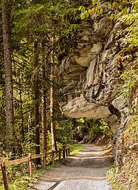 Chemin dans la vallée du Rhin antérieur, près de Vuorz (canton des Grisons). (définition réelle 2 518 × 3 456)