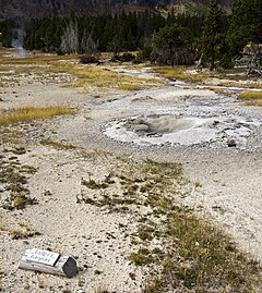 Bulger Geysir Kegel UGB YNP1.jpg