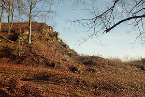 Burgstall Spies - Ansicht von Halsgraben und vorgelegtem Graben (Dezember 2012)