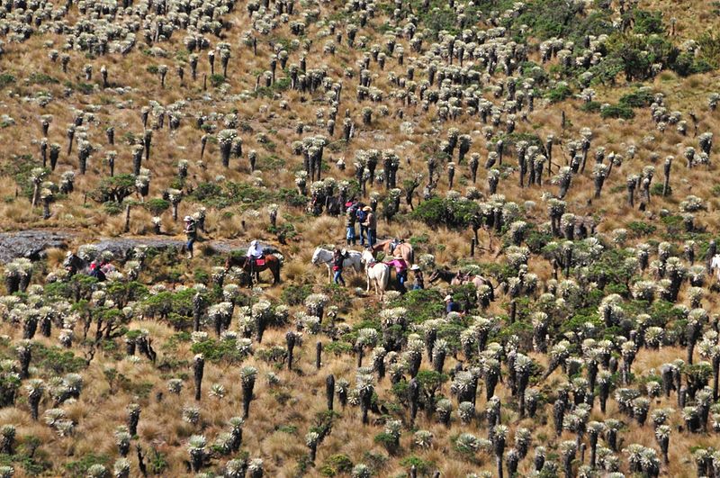 File:Cabalgata - Páramo de Ocetá.jpg