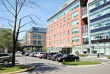 Camh Queen st.jpg