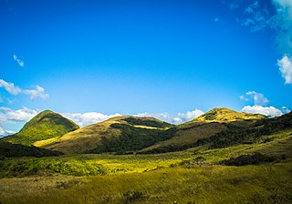 <span class="mw-page-title-main">Serra do Tabuleiro State Park</span>