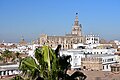 Catedral de Sevilla desde Torre del Oro (1).jpg