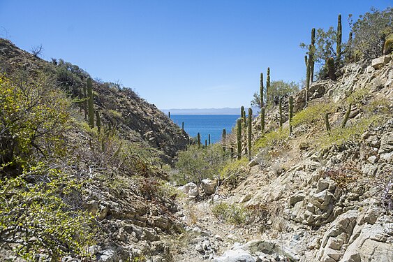 Cerralvo Island west coast landscape 2.jpg