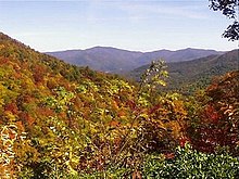 Herbststimmung im Chattahoochee-Oconee National Forest