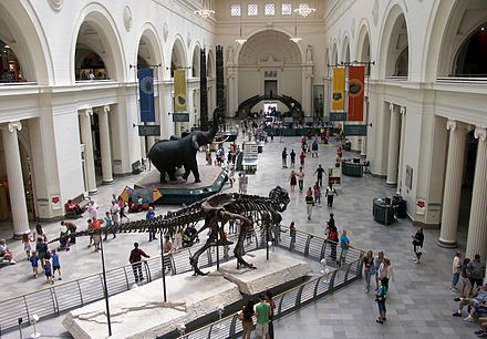 The main hall of the Field Museum of Natural History in 2007, with Sue the T. rex in the foreground
