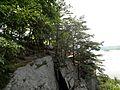 Chickies Rock cliff.jpg