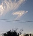 Cirrocumulus lacunosus virga