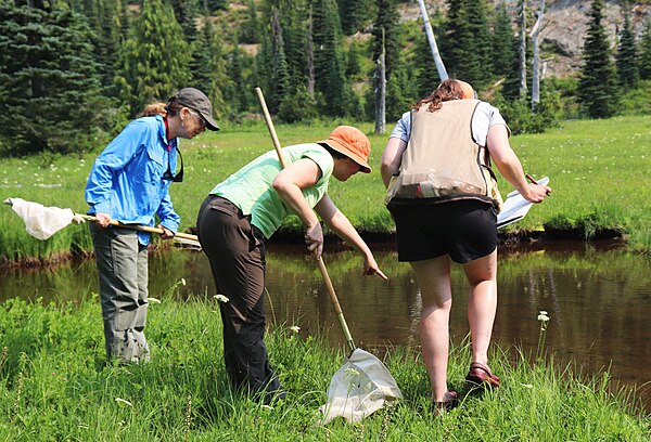 Citizen science volunteers and coordinator near a pond observe a frog.