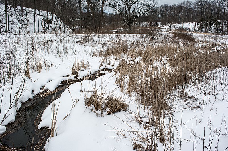 File:Cleveland Clinic Wellness 01 - Euclid Creek.jpg