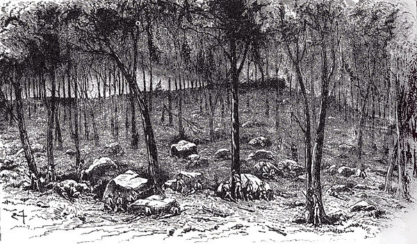Confederate pickets on Culp's Hill (engraving from The Century Magazine)