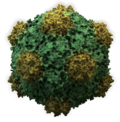 Vignette pour Secoviridae