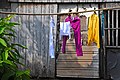 DGJ 0471 - Laundry Day (3354313489).jpg