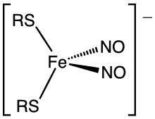 A dinitrosyl iron complex (DNIC), the product from the immune responsive attack of NO on Fe-S proteins. DNIC structure.svg