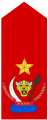 Général de brigade (Siły Lądowe DR Konga)