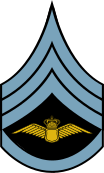 File:Danish Airforce OR-5b Sleeve.svg