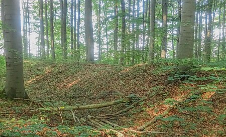 Der westliche Wall der Befestigung auf dem Hünstollen