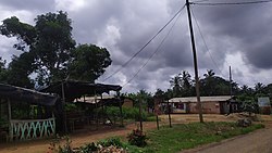 Bomono in the Dimbombari commune