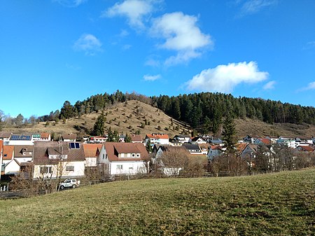 Dissenhorn mit Wacholderheide