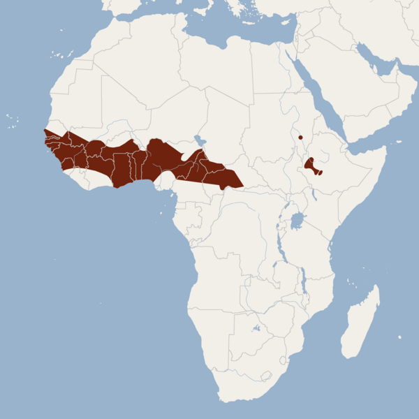 File:Distribution of Epomophorus gambianus.png