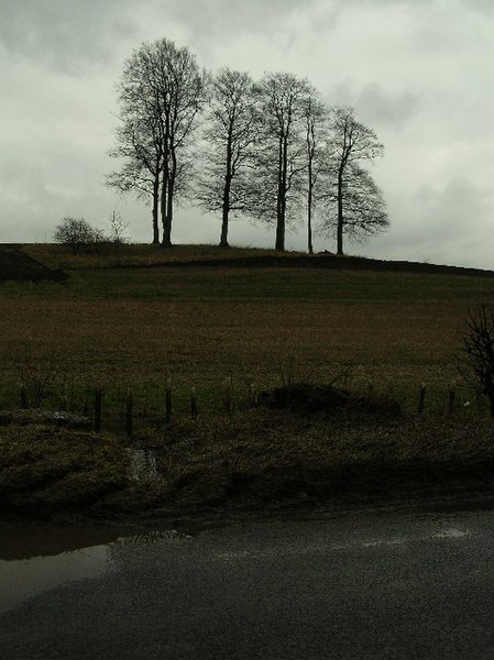 File:Doth seven trees a copse make^ - geograph.org.uk - 127177.jpg