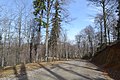 Drum forestier in Brasov - panoramio (1).jpg