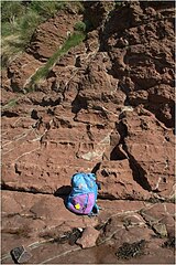 Brick-red Eday Marl, Bay of Birstane, reduced to green colour along fractures EdayMarl1.JPG