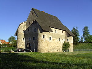 Castelo de pato