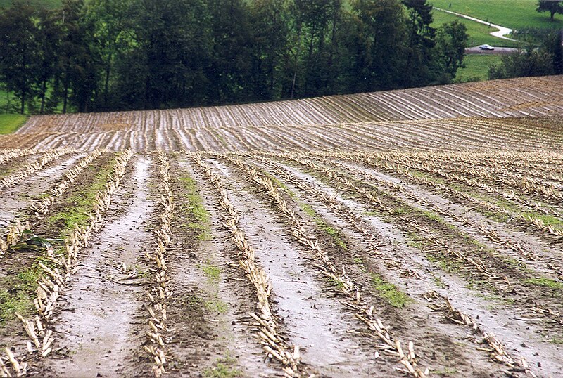 File:Erosion flächenhaft023.jpg