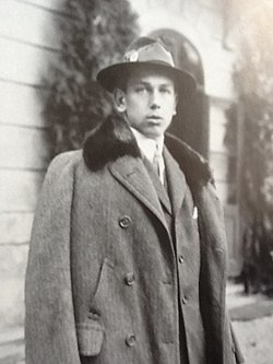 Albert (Albrecht) főherceg az 1910-es évek első felében