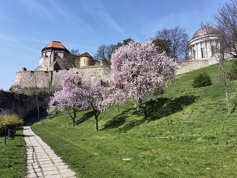 File:Esztergom, Bazilika, 1.jpg