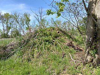 <span class="mw-page-title-main">Etna Township Mounds</span> Archaeological site in Ohio, United States