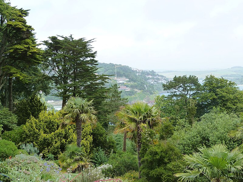 File:Exotic palms and ferns fill the gardens at Overbecks - geograph.org.uk - 5066078.jpg