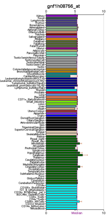 Predicted FAM40A expression in different tissues of the body Expression data.png