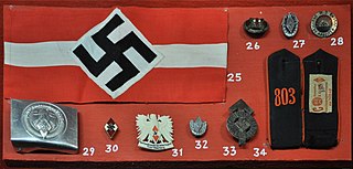 <span class="mw-page-title-main">Hitler Youth Badge</span> Political decoration of Nazi Germany