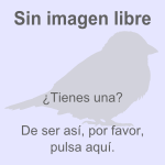 File:Falta imagen pájaros 2.svg