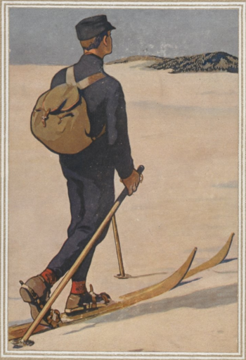 Vue Latérale D'un Skieur Masculin En Veste D'hiver Glissant Sur