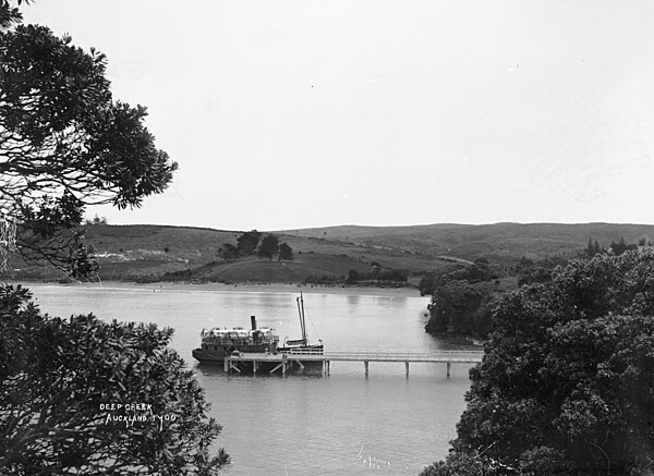 Steamer ferry at Waiake Beach, ca 1910