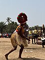 File:Festival des Arts de l'ethnie baga 04.jpg