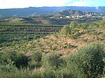 Priorat històric