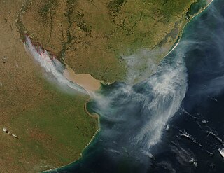 <span class="mw-page-title-main">2008 Delta del Paraná wildfires</span>