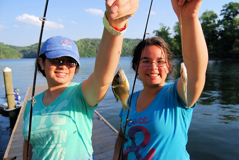 File:Fishing at Claytor Lake State Park (7472999054).jpg