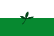 Vaupés megye zászlaja