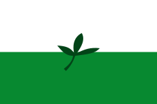 Flag of Vaupés.svg