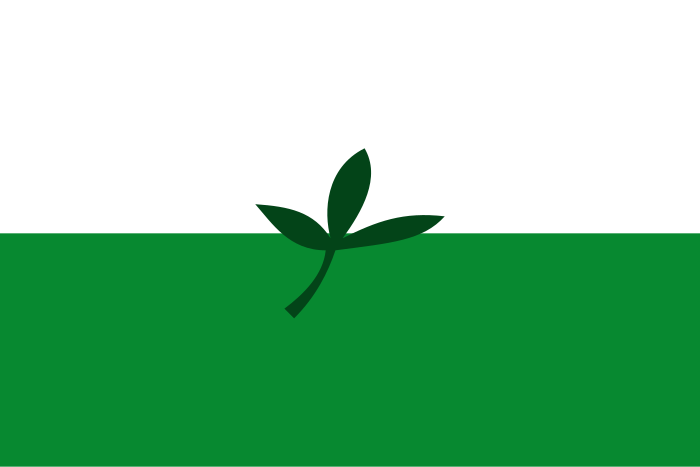700px-Flag_of_Vaup%C3%A9s.svg.png