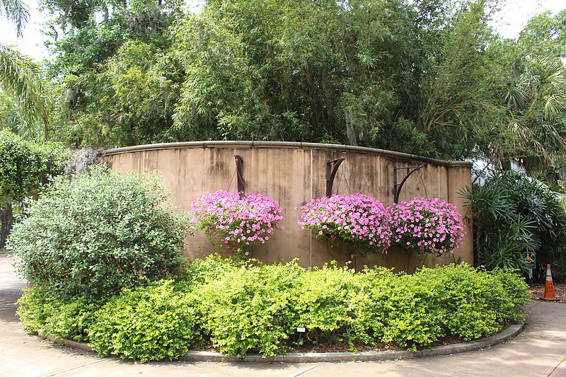 File:Flora 19, Jacksonville Zoo.jpg