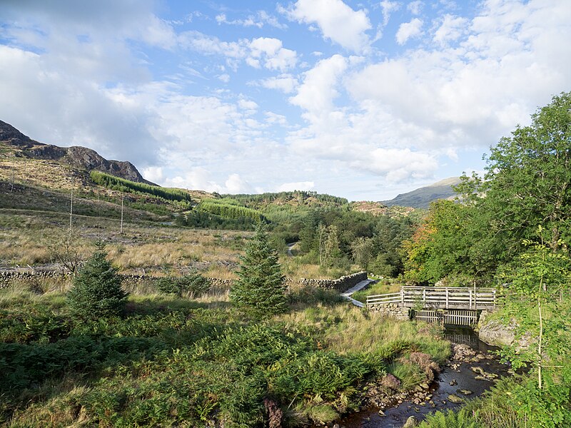 File:Footbridge over Grassguards Gill - geograph.org.uk - 5530306.jpg