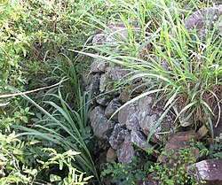 The remains of Fort Charlotte, built on an earlier lookout post erected by the Dutch Fort Charlotte, Tortola 01.jpg