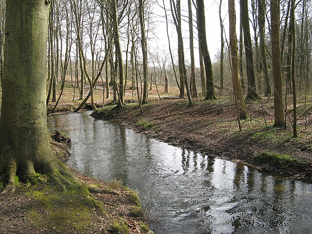 Marselisborg Forests. Early spring at the Giber stream.