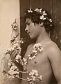 Gloeden, Wilhelm von (1856-1931) - n. 0341 recto - Mandorlo in fiore - Deponirt 27 Jan 1899 - ex Texbraun Collection, Galerie David Guiraud, Paris.jpg